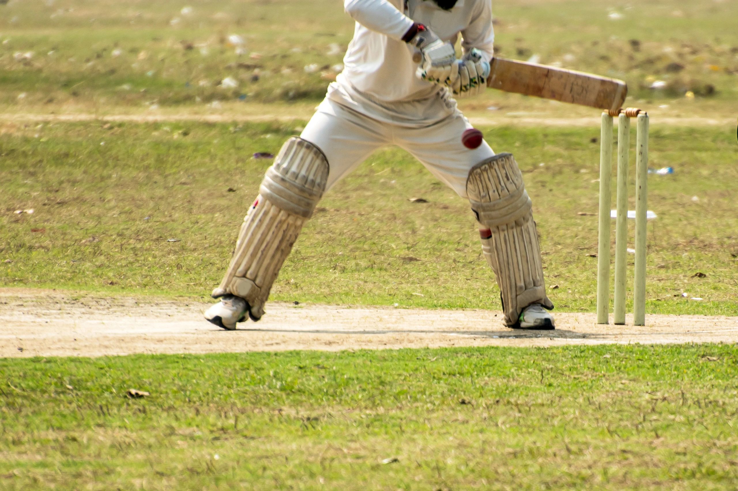 Cricket Batsman is going to hit a ball